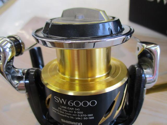 16ｽﾃﾗSW 6000XG