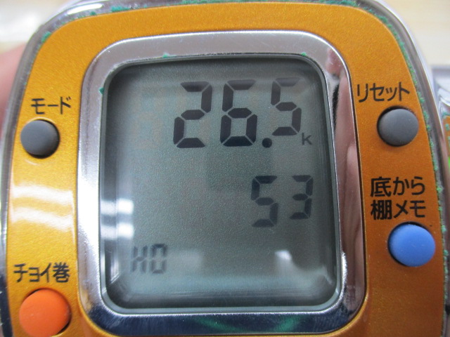 ﾀﾞｲﾜ　ｼｰﾎﾞｰｸﾞ500MT　ｼﾞｬﾝｸ品