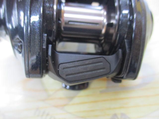 ｾｲﾚﾝｽ100HG-PH/L