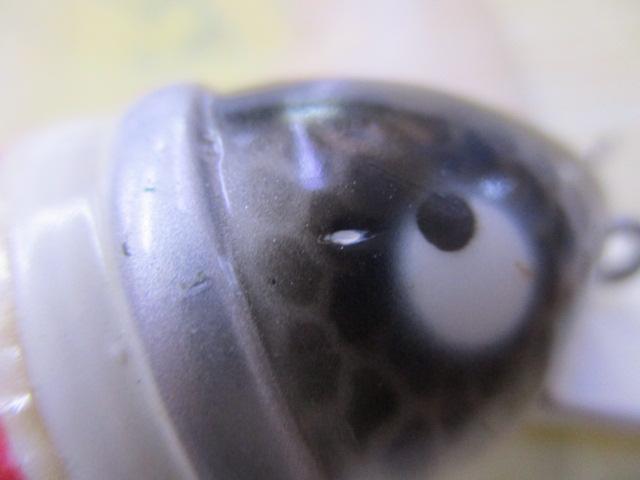 ﾋﾞｯｸﾞﾊﾞﾄﾞ