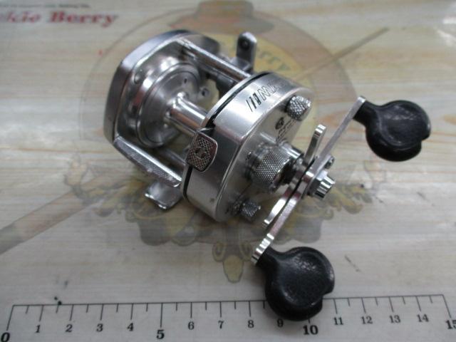 ﾊﾞﾝﾀﾑ 100SG