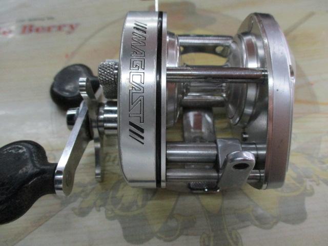 ﾊﾞﾝﾀﾑ 100SG