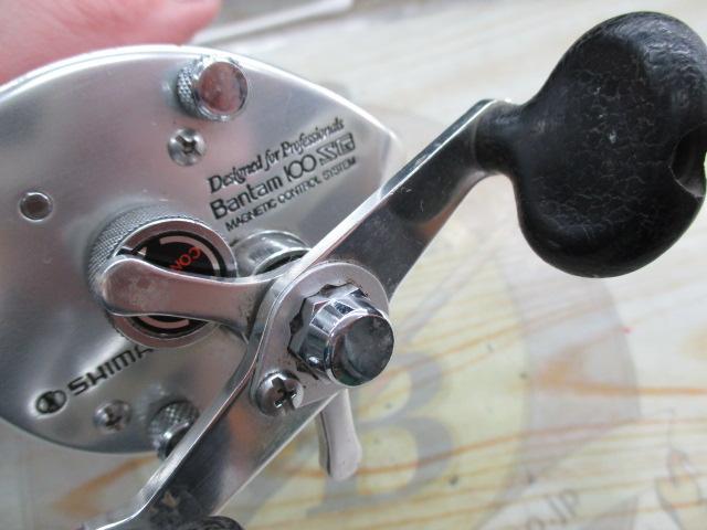 ﾊﾞﾝﾀﾑ 100SG