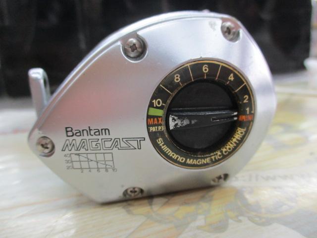 ﾊﾞﾝﾀﾑ 100SG