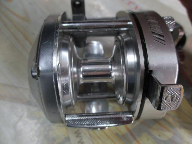 ﾊﾞﾝﾀﾑ 100SG