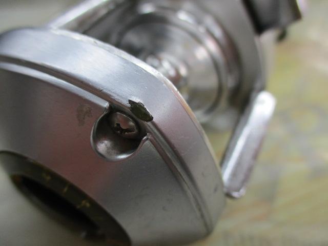 ﾊﾞﾝﾀﾑ 100SG