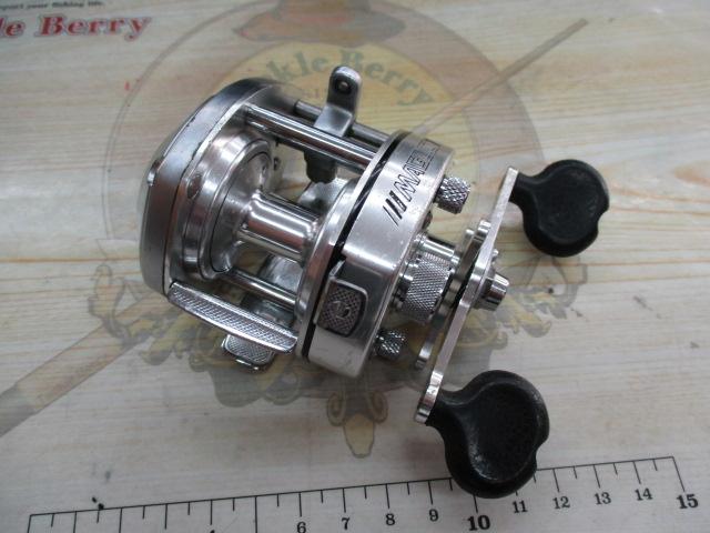 ﾊﾞﾝﾀﾑ 100SG