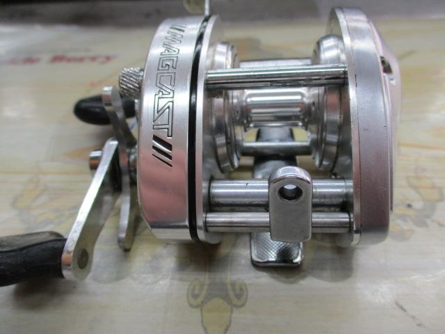 ﾊﾞﾝﾀﾑ 100SG