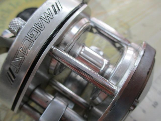 ﾊﾞﾝﾀﾑ 100SG