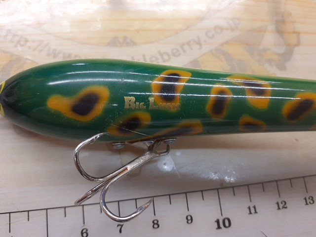 ﾋﾞｯｸﾞﾗｯｼｭ