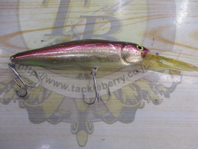 ﾗｲﾌﾞXﾌﾟﾗｽ