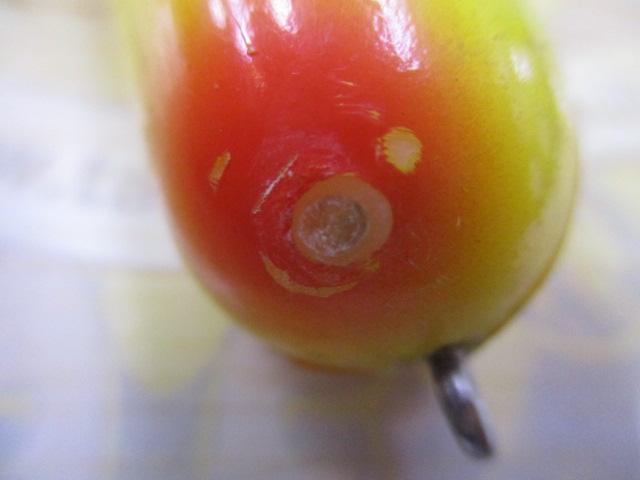 ﾍﾄﾞﾝﾏｸﾞﾅﾑﾄｰﾋﾟｰﾄﾞ