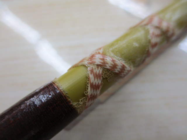 ｸﾞﾗｽｱｲｽﾃｨｯｸ BC60L ﾗｲﾑ ﾌｪﾙｰﾙ