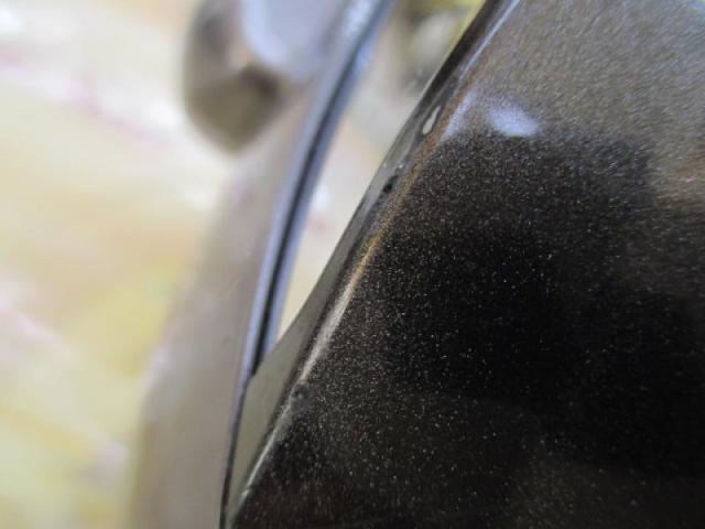 レオブリッツブル 500MM