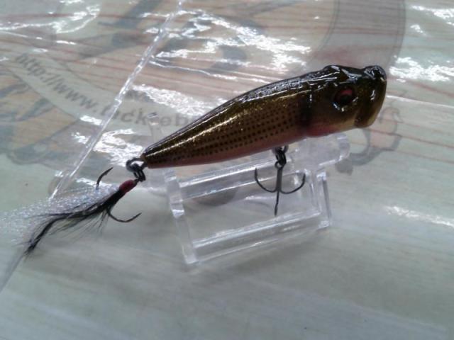 ｳｯﾃﾞｨｰﾎﾟｯﾌﾟX