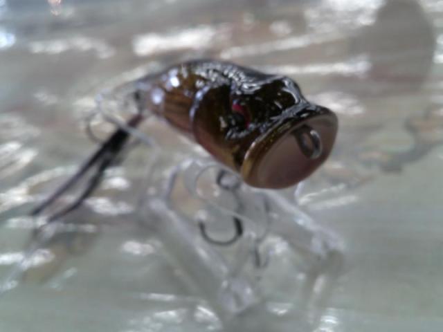 ｳｯﾃﾞｨｰﾎﾟｯﾌﾟX