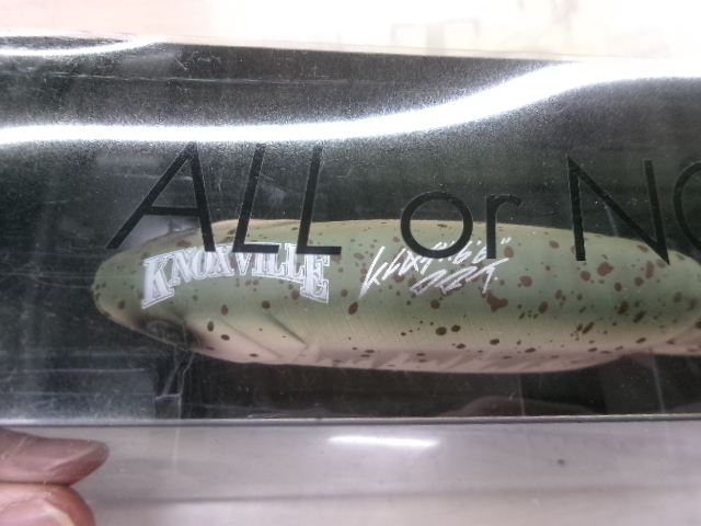 ﾀｲﾆｰｸﾗｯｼｭ