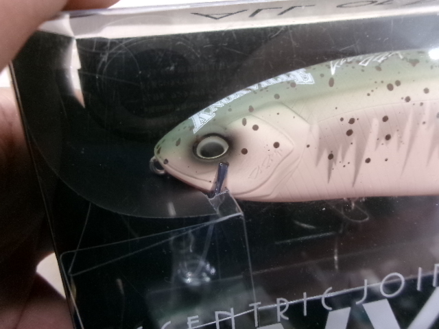 ﾀｲﾆｰｸﾗｯｼｭ