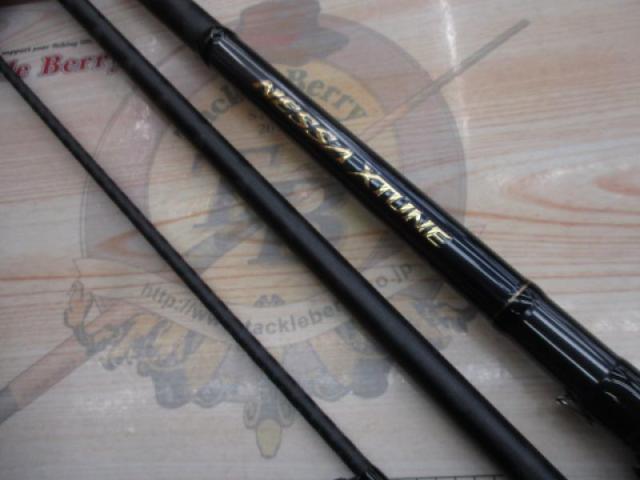 25ネッサエクスチューン S100M