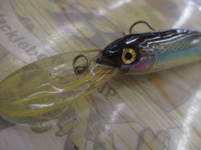 ﾗｲﾌﾞXﾌﾟﾗｽ