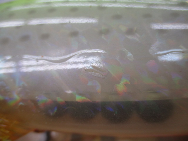 【ｾｯﾄ商品】ｼﾞｬｯｶﾙﾙｱｰ2個ｾｯﾄ