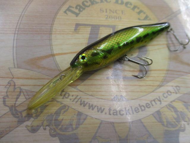 ﾘｳﾞｧｲｱｻﾝ