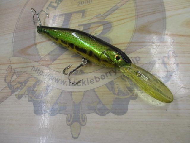 ﾘｳﾞｧｲｱｻﾝ