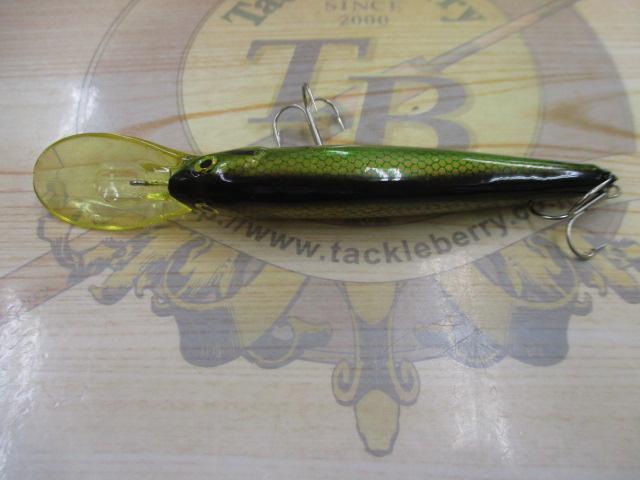 ﾘｳﾞｧｲｱｻﾝ