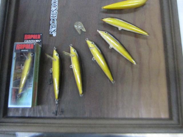 ｶｳﾝﾄﾀﾞｳﾝﾃﾞｨｽﾌﾟﾚｲﾎﾞｰﾄﾞ