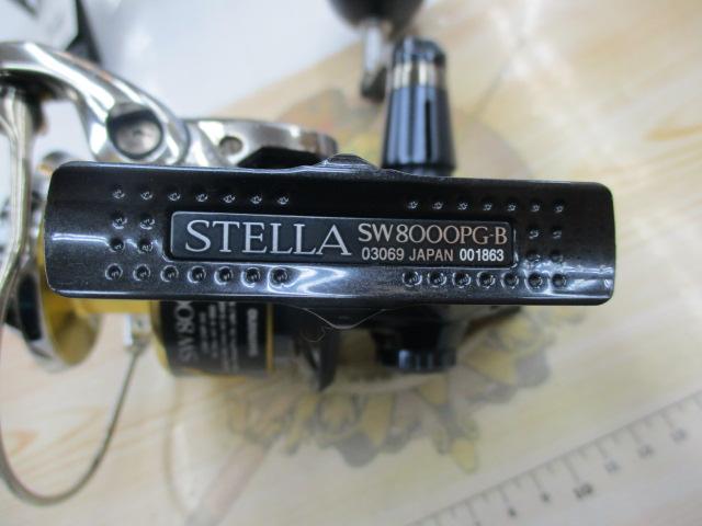 13ｽﾃﾗSW 8000PG