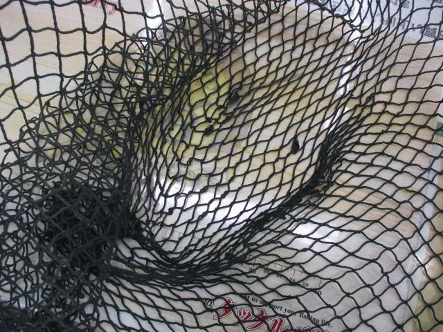 ｻｸﾗﾏｽﾈｯﾄ