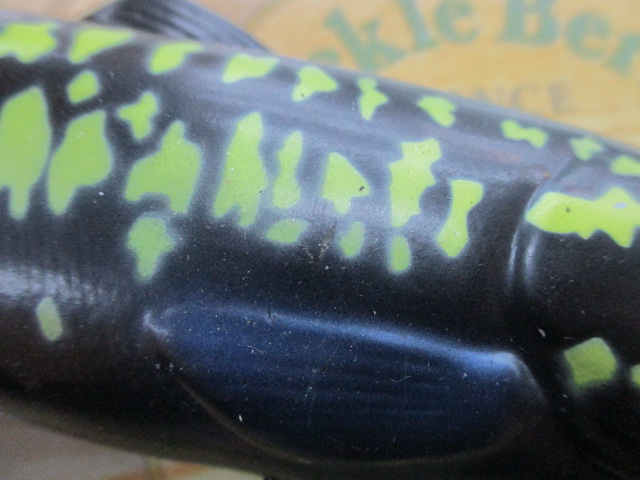 ｽﾗｲﾄﾞｽｲﾏｰ175　ｳｪﾌﾞﾒﾝﾊﾞｰｶﾗｰ