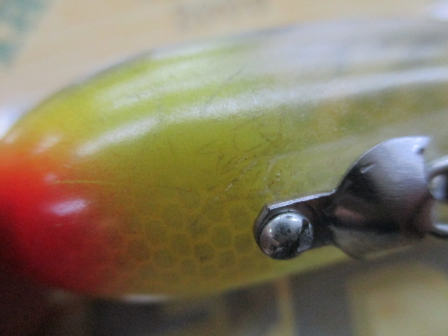 ﾍﾄﾞﾝ　ﾍﾞﾋﾞｰｻﾞﾗ