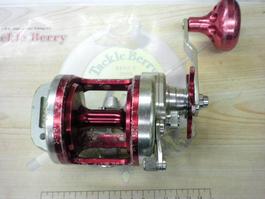 ﾄｰﾅﾒﾝﾄ石鯛Z 40