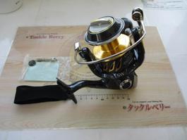 13ｽﾃﾗSW 8000HG