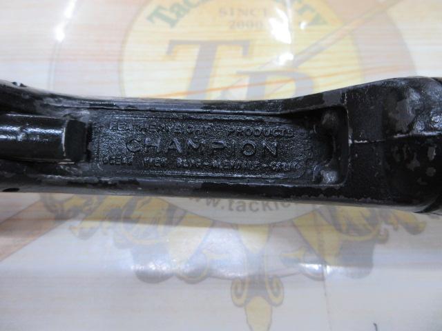 ﾁｬﾝﾋﾟｵﾝｸﾞﾘｯﾌﾟ