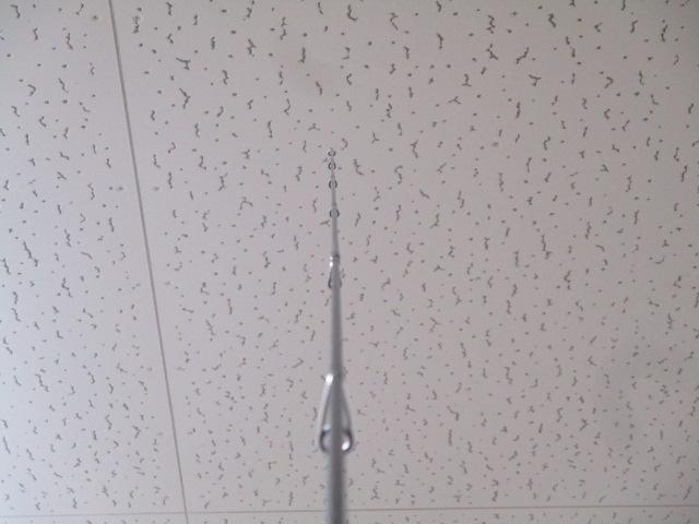 999.9ﾌｫｰﾅｲﾝﾏｲｽﾀｰ 633ML ｺﾞｰﾙﾄﾞｳﾙﾌLTD