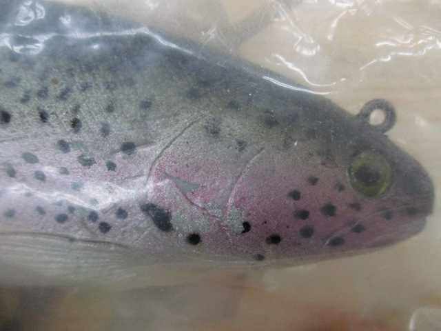 ﾊﾄﾞﾙｽﾄﾝ 8