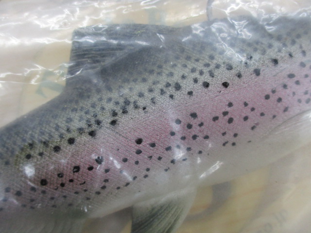 ﾊﾄﾞﾙｽﾄﾝ 8