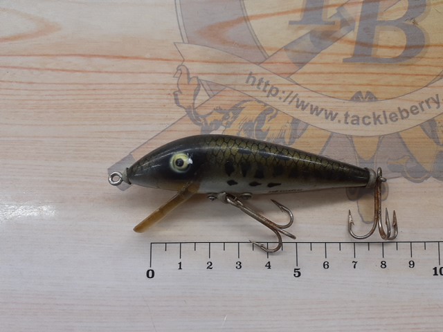 ﾍﾄﾞﾝ　ﾀｲｶﾞｰ