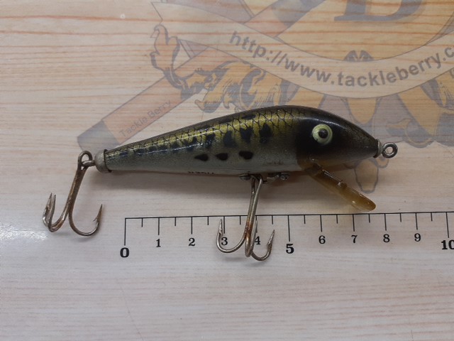 ﾍﾄﾞﾝ　ﾀｲｶﾞｰ