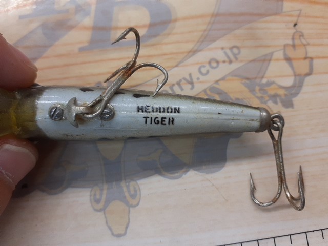 ﾍﾄﾞﾝ　ﾀｲｶﾞｰ