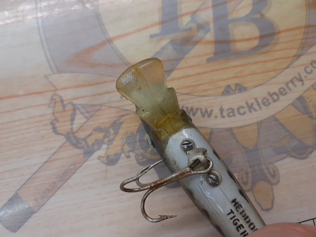 ﾍﾄﾞﾝ　ﾀｲｶﾞｰ