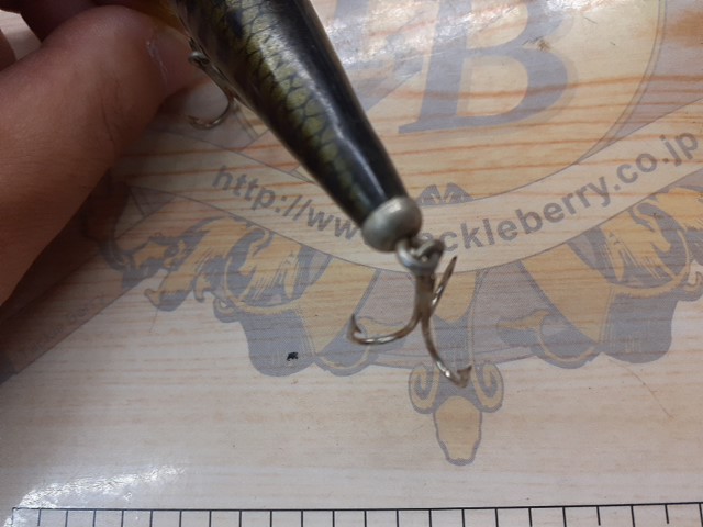 ﾍﾄﾞﾝ　ﾀｲｶﾞｰ