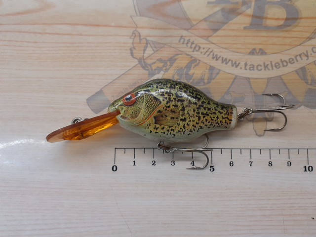 ベイトフィッシュ