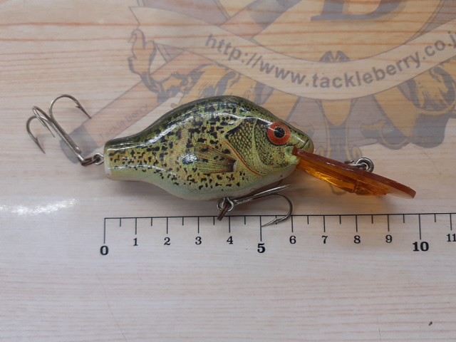 ベイトフィッシュ