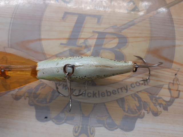 ベイトフィッシュ