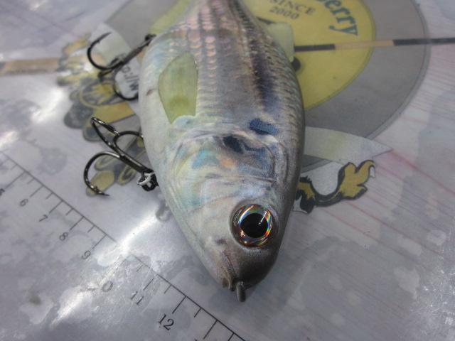 ドゥームライダー