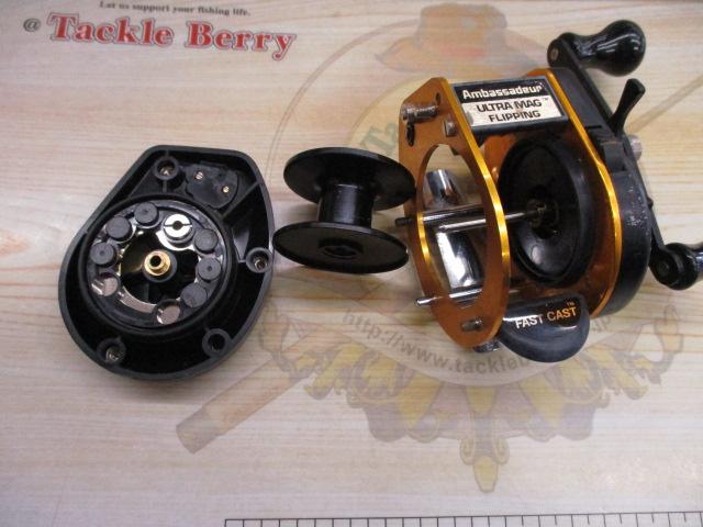 アンバサダーウルトラマグフリッピング