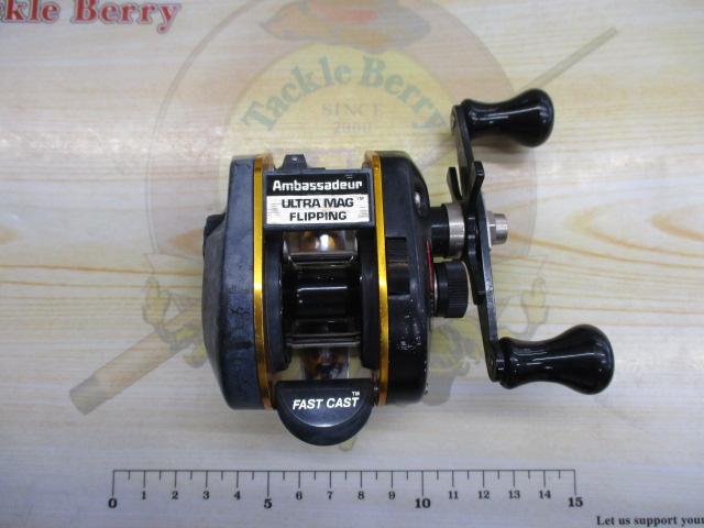 アンバサダーウルトラマグフリッピング